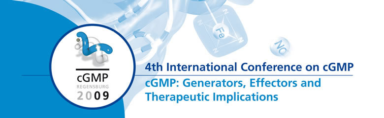 cGMP Regensburg 2009